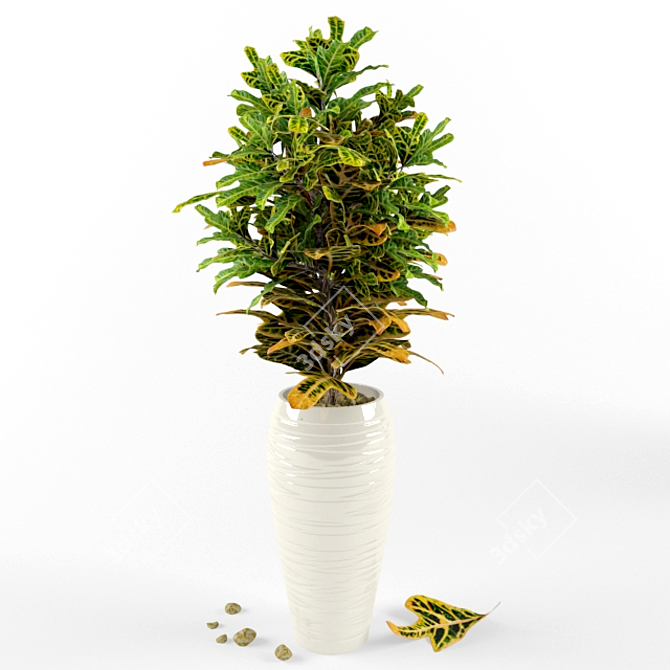 Vibrant Tropical Croton Plant 3D model image 1