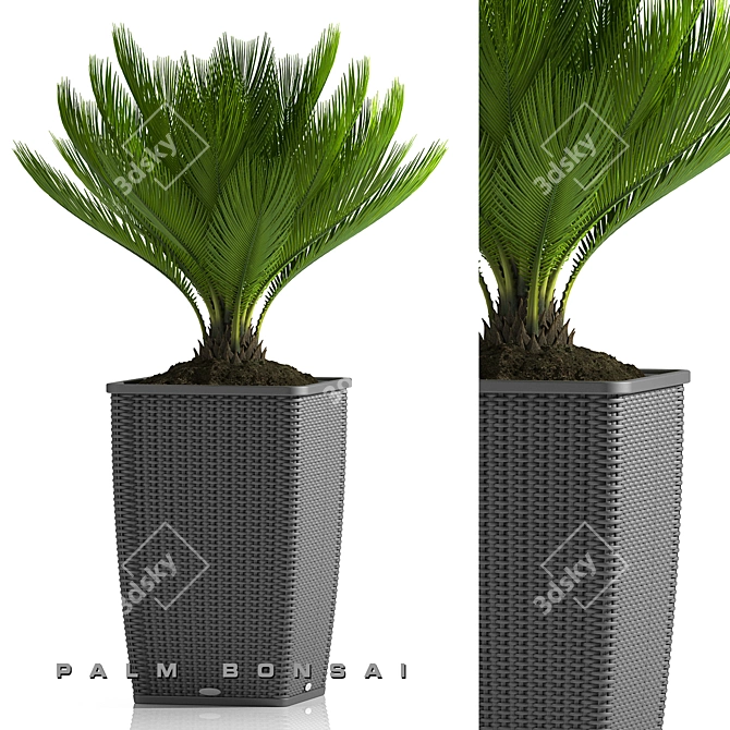 Tropical Zen: Palm Bonsai 26 3D model image 1