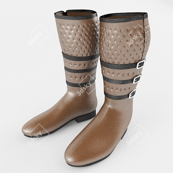 Sleek Equestrian Boots - 3dsMax 2014, FBX, OBJ 3D model image 1