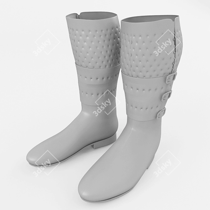 Sleek Equestrian Boots - 3dsMax 2014, FBX, OBJ 3D model image 2