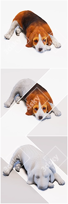 Adorable Beagle Puppy Sculpture 3D model image 2