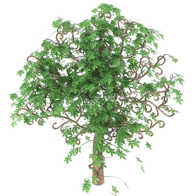 Elegant Wrought Vine Tree 3D model image 1