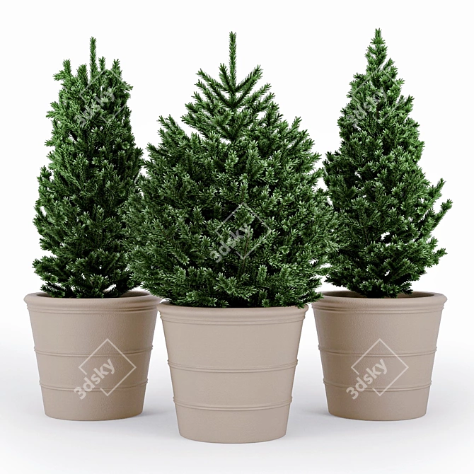 Premium Fir Tree 3D model image 1