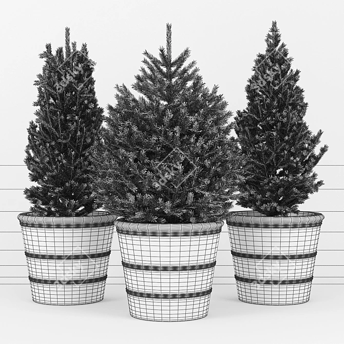 Premium Fir Tree 3D model image 2