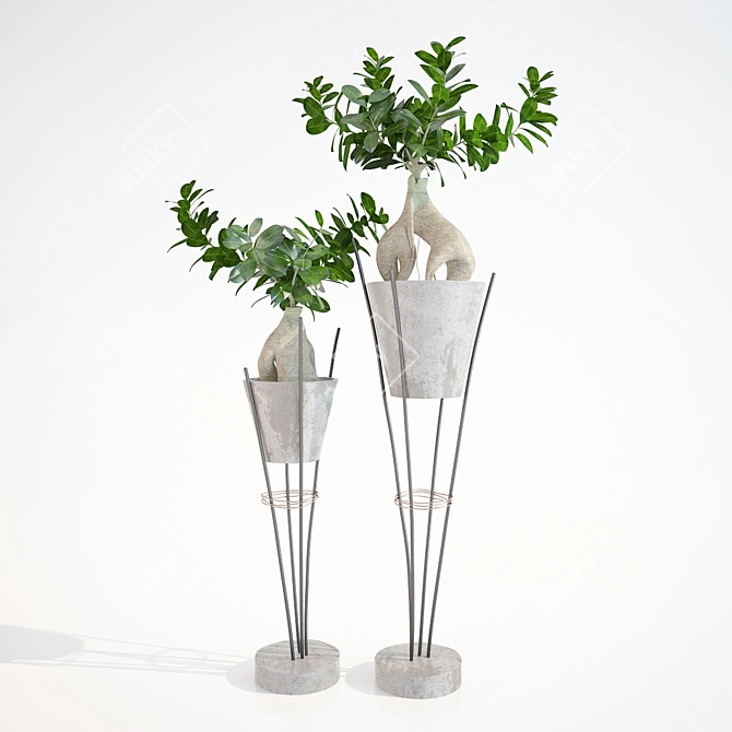 Ginseng Ficus: Bonsai with a Twist 3D model image 1