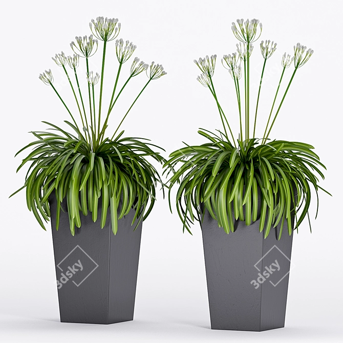 Stylish Plant Trio: Max 2015, 2012 & FBX 3D model image 1