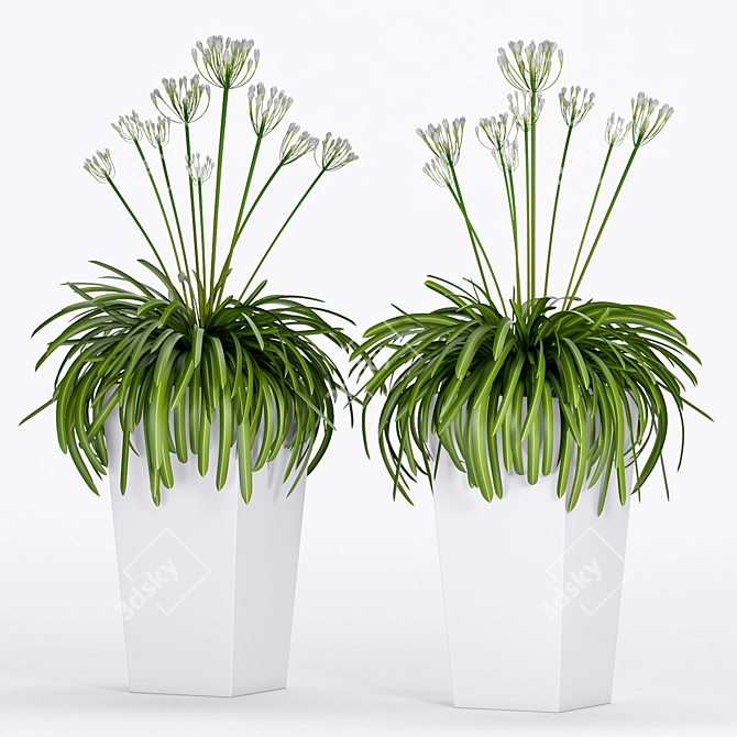 Stylish Plant Trio: Max 2015, 2012 & FBX 3D model image 2