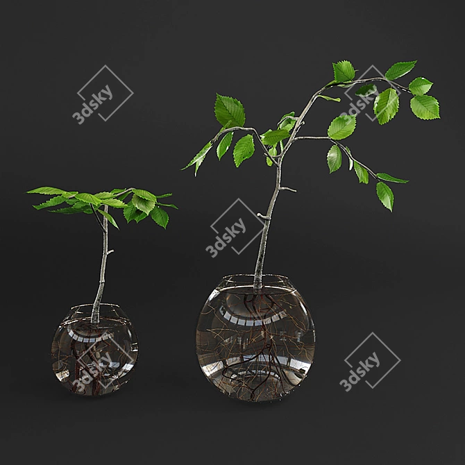 Mini Succulents in Glass Vase 3D model image 1