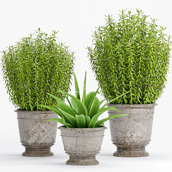 2021 Plant -18: Decorative Set 3D model image 1