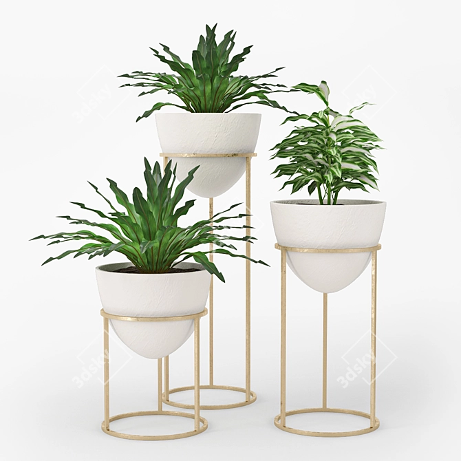 Lush Green Plant Bundle 3D model image 1