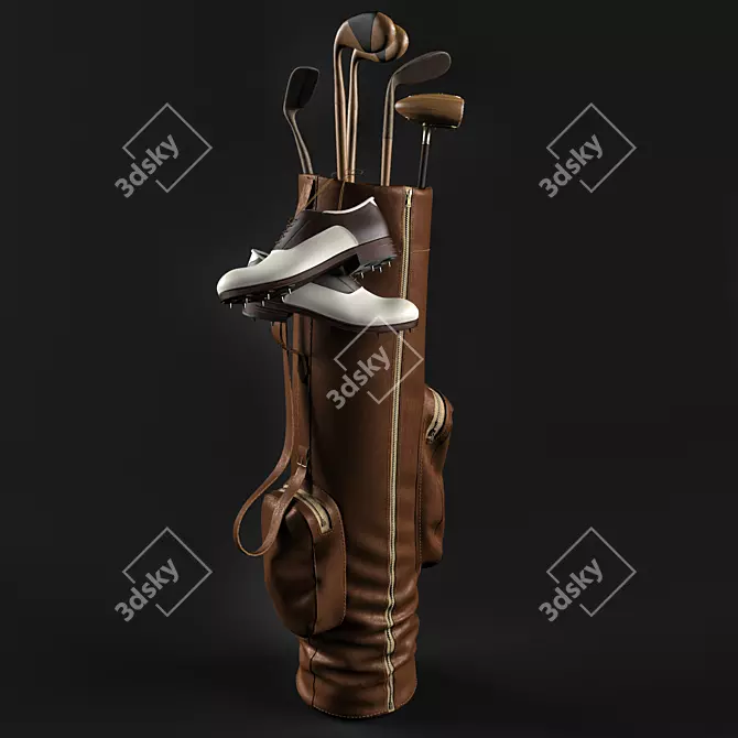 Classic Vintage Golf Bag 3D model image 1