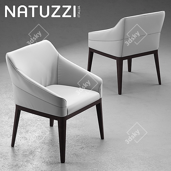 Elegant Set: Natuzzi Minerva 3D model image 2
