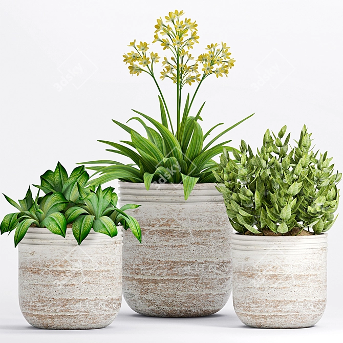 Botanical Bliss: Decorative Plant Set 3D model image 1