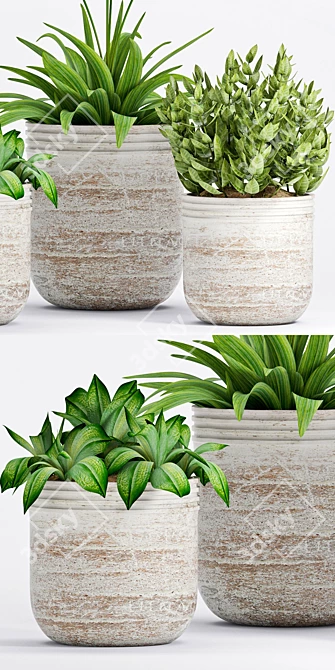 Botanical Bliss: Decorative Plant Set 3D model image 2