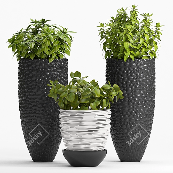 Modern Minimalist Planter Set 3D model image 1