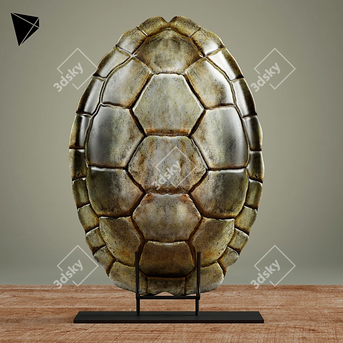 John-Richard Metal Turtle Shell Stand 3D model image 1