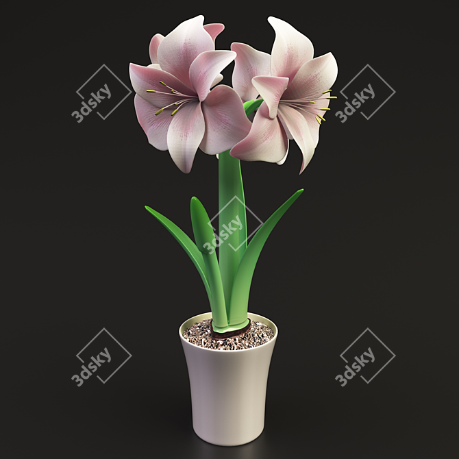  Elegant Hippeastrum Flower: 47.5 cm Tall 3D model image 1