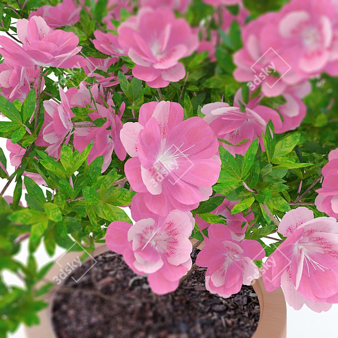 Title: Vibrant Azalea Potted Plant 3D model image 2