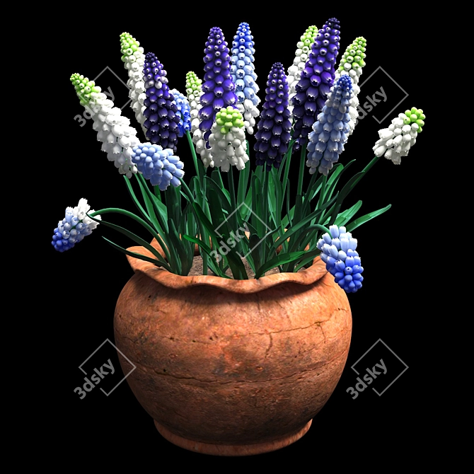 Vibrant Spring Muscari Flowers 3D model image 1