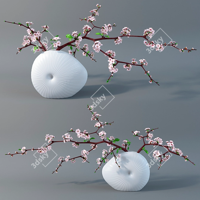 Cherry Blossom Branch Display 3D model image 1