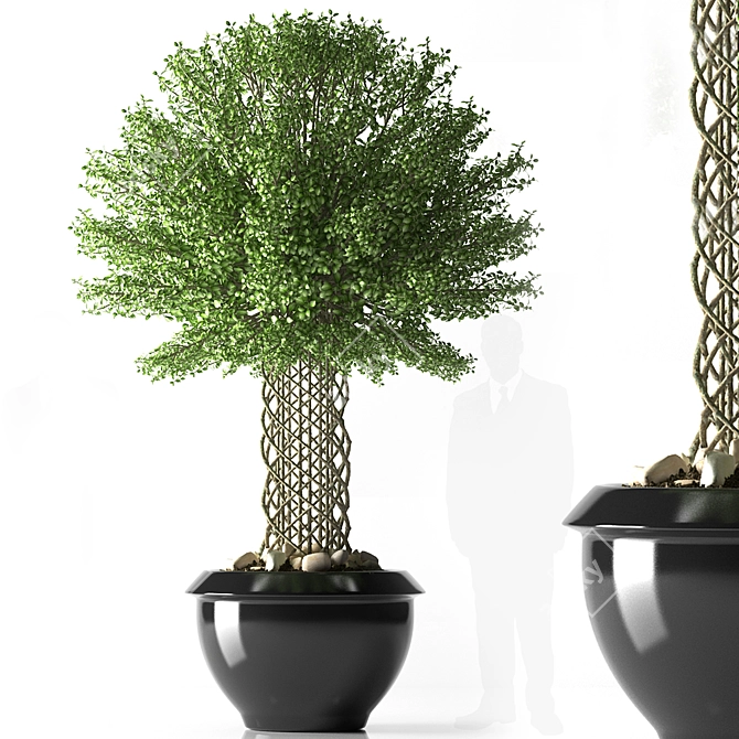 Lush with Life: PLANTS 33 3D model image 1