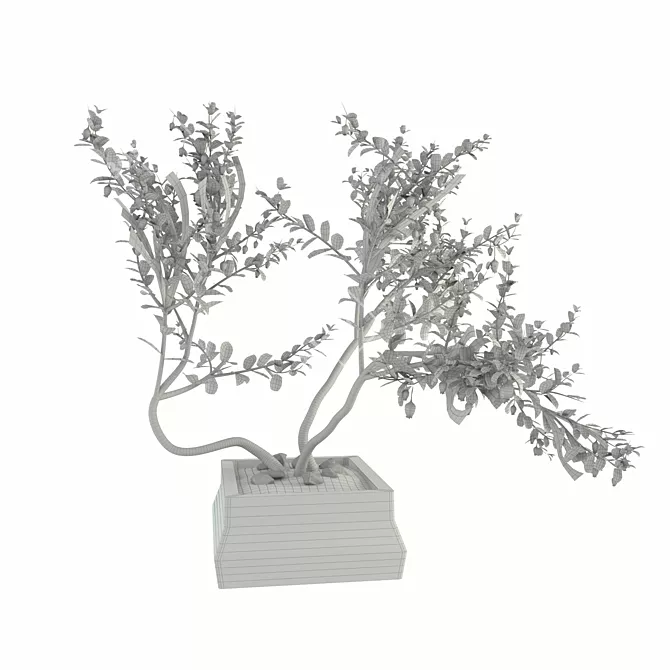 Eternal Evergreen Manzanita with Reddish Branches 3D model image 2