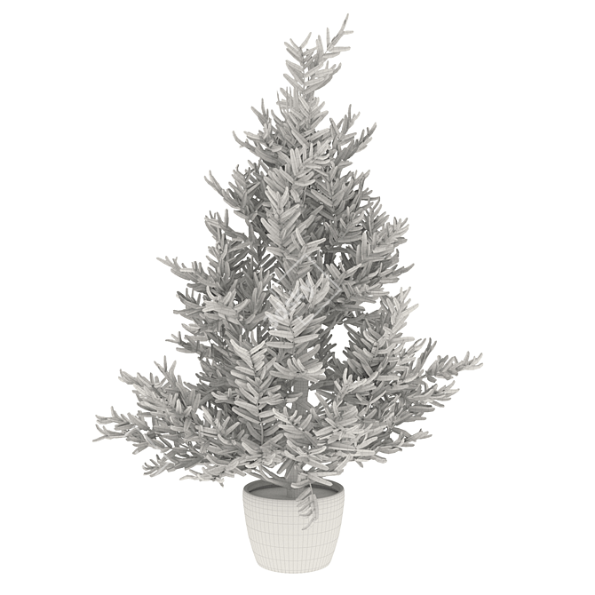 Blue Spruce Tree in Pot | 530mm Height 3D model image 3