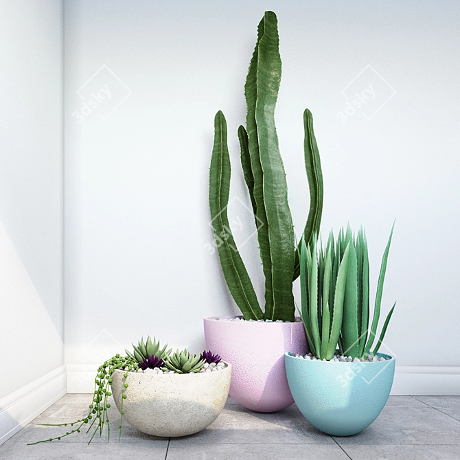 Desert Best Trio: Cactus Collection 3D model image 1