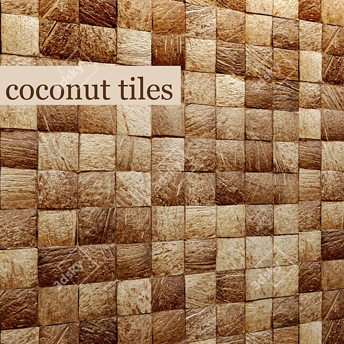 Coconut Slice Tile 3D model image 1