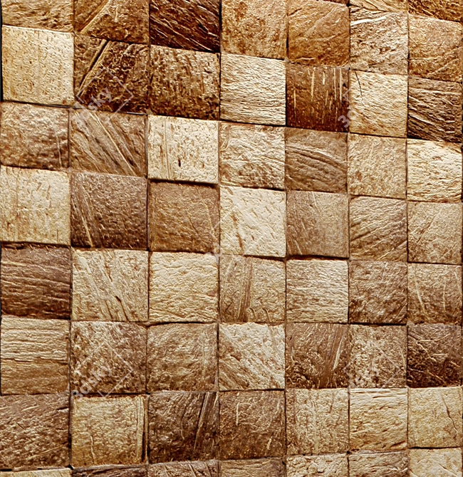 Coconut Slice Tile 3D model image 2