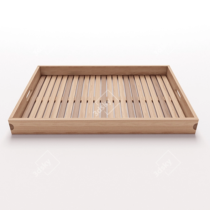 Sleek Azteck Tray: Modern Functionality & Style 3D model image 2