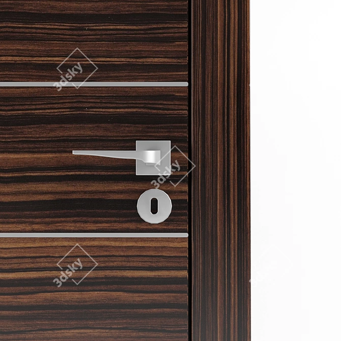 Artis T Zebrano Union Door 3D model image 2