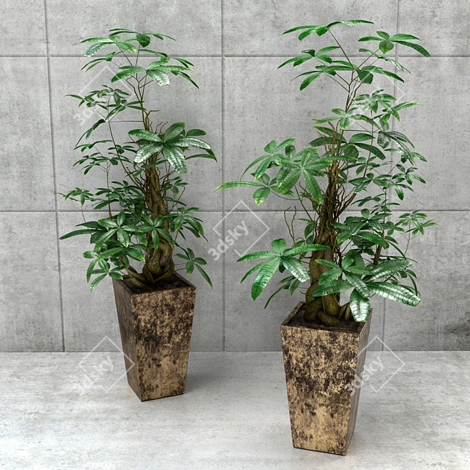 Elegant Money Tree: Three Unique Stylized Models 3D model image 1