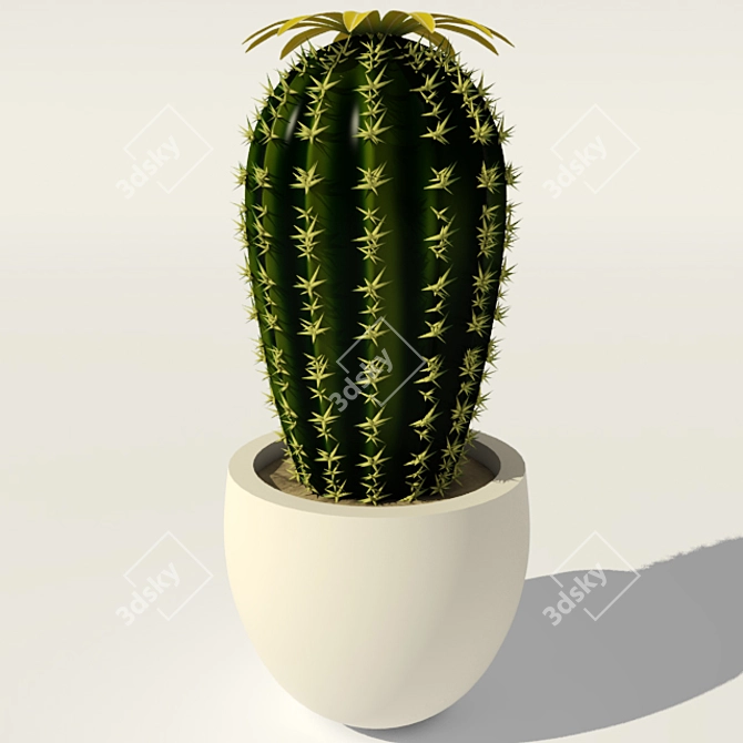 Blooming Cactus in Pot 3D model image 2