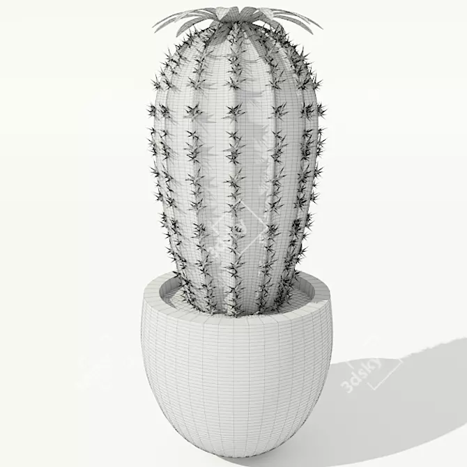 Blooming Cactus in Pot 3D model image 3