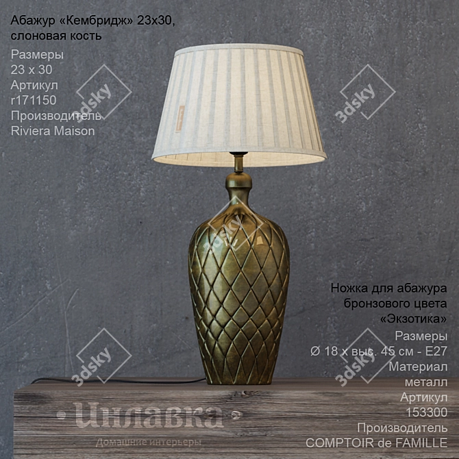 Exotic Bronze Table Lamp 3D model image 1