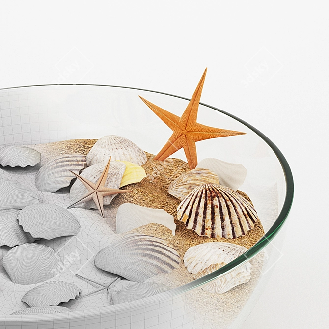 Ocean Treasures: Seashells in a Vase 3D model image 3