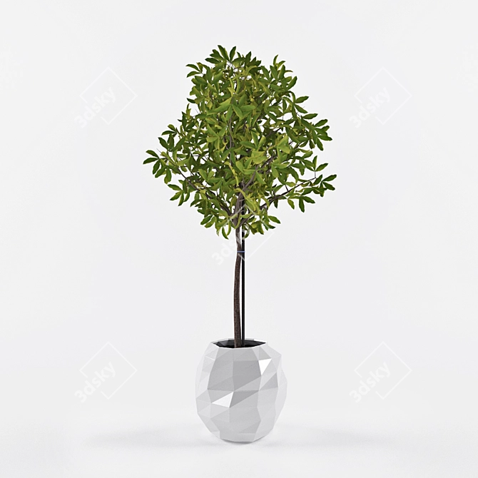 Stylish Indoor Plant in Pot 3D model image 1