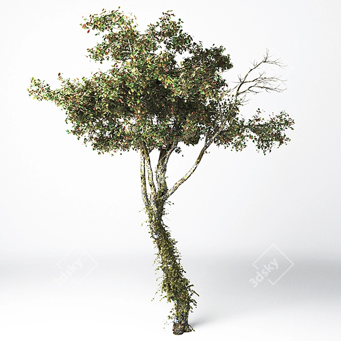 21-inch High Poly Tree Model 3D model image 2