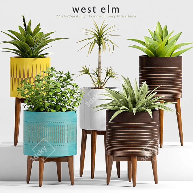 Modern Plant Set - 24 Designs 3D model image 1