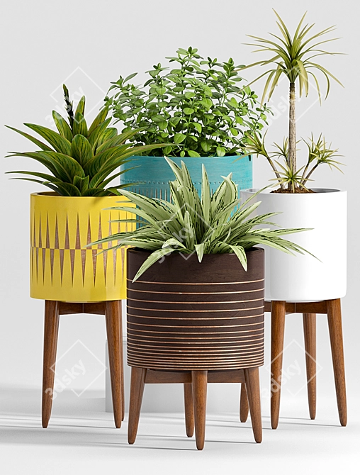 Modern Plant Set - 24 Designs 3D model image 2