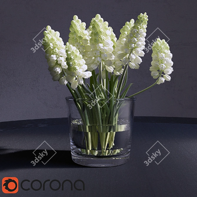 CoronaRender-ready Muscari_Hyacinthaceae 3D model image 1