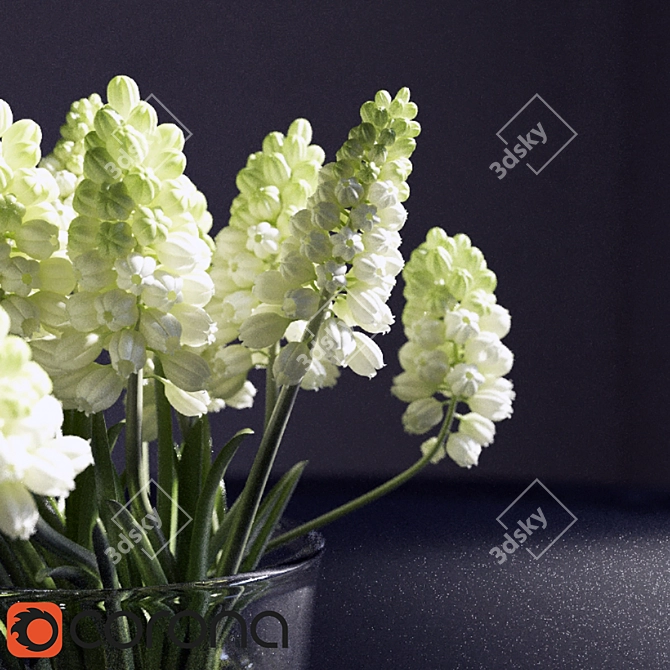 CoronaRender-ready Muscari_Hyacinthaceae 3D model image 2