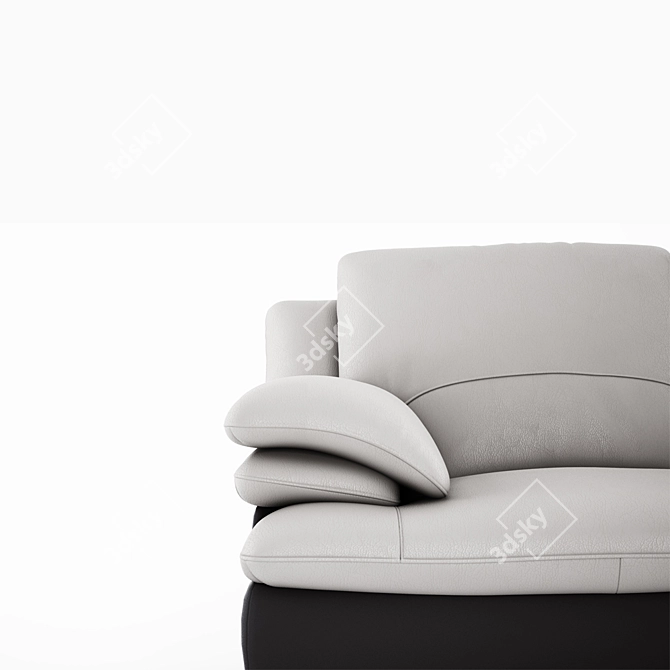Natuzzi Black and White Leather Sofa 3D model image 3