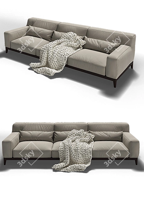 Modern Swing Sofa by Busnelli 3D model image 2