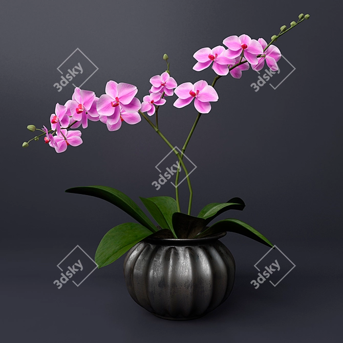 Elegant Pink Orchid in Metal Vase 3D model image 1