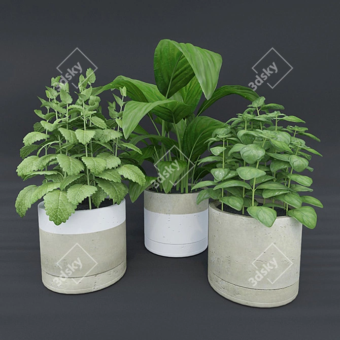 Title: Sleek Concrete Plant Pots 3D model image 1