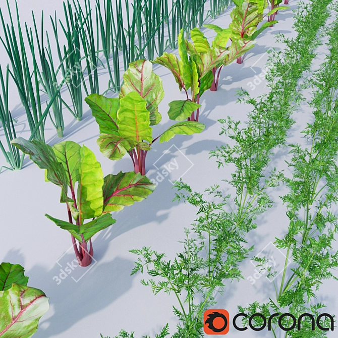 Garden Trio: Carrots, Beets, Onions 3D model image 1