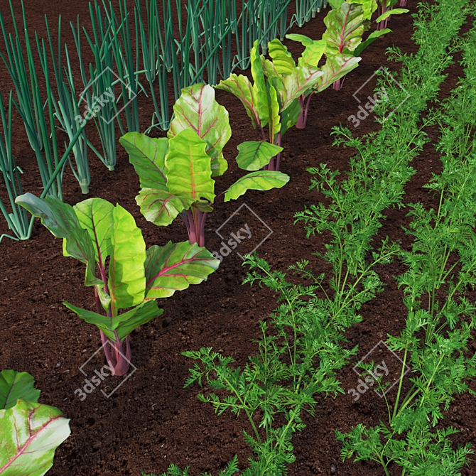 Garden Trio: Carrots, Beets, Onions 3D model image 2