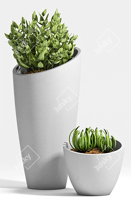 Stylish Planters Collection 3D model image 2